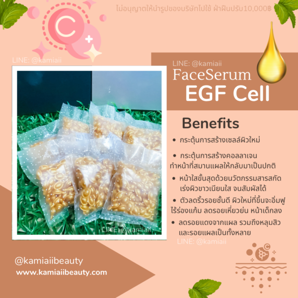 EGF Gold สูตรรักษาผิวหน้าแทนการฉีด ขาวเนียนกว่าฉีดสะกิด แคปซูลเซรั่มเซลล์ต้นกำเนิดผิวหนัง - Image 9