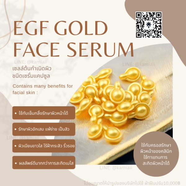 EGF Gold สูตรรักษาผิวหน้าแทนการฉีด ขาวเนียนกว่าฉีดสะกิด แคปซูลเซรั่มเซลล์ต้นกำเนิดผิวหนัง - Image 8